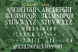 Reloaded - Military Serif Font