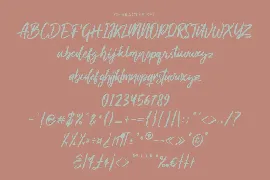 Deloissta Script Font