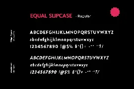 Equal Slipcase Sans Serif Font Family