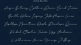 Jarvitts Signature font