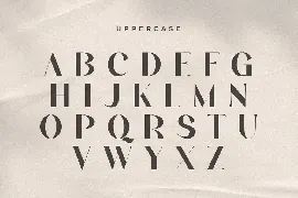 Aldora - Modern Display Font