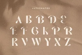 Aldora - Modern Display Font