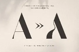 Aldora - Modern Display Font