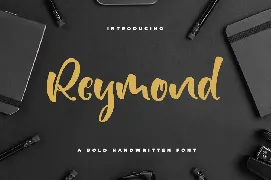 Reymond - Bold Font