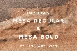 Mesa + Mesa Bold font