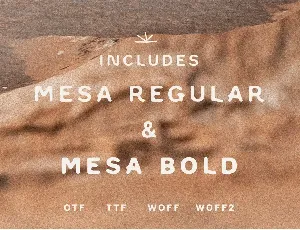 Mesa + Mesa Bold font