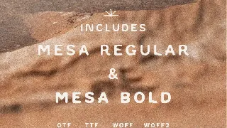 Mesa + Mesa Bold font