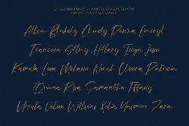 Mildlight Feminine Signature Font