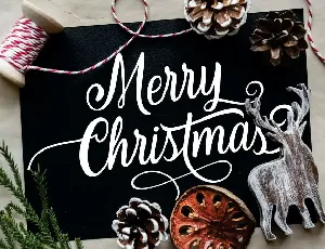 Christmas - Modern Calligraphy Font