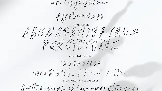 Adustine - Handwritten Signature font