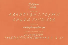 California Party Handwritten Signature Script Font