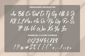 Pensacotta - Brush Font