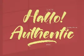 Authenty Blush Modern Script Font