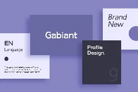 Gabiant Sans Serif Font Family