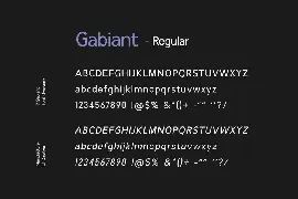 Gabiant Sans Serif Font Family