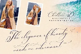 Berlishanty Calligraphy Beautiful Script font