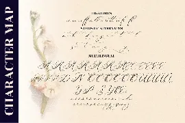 Berlishanty Calligraphy Beautiful Script font