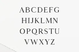 Hyogo A Modern Serif Font Family