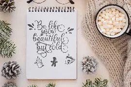 Winter Sound - Modern Calligraphy font