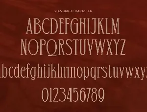 Rakushi Display Serif Font