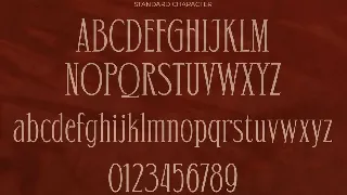 Rakushi Display Serif Font