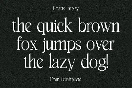 Breasto - Display Serif font