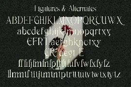 Breasto - Display Serif font