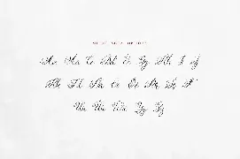 Delphanium - Romantic Calligraphy Font