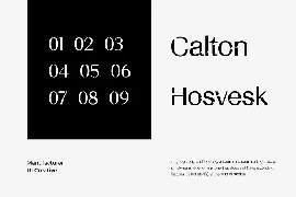 Calton Hosvesk Stensil Sans Serif Font Family