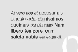 Calton Hosvesk Stensil Sans Serif Font Family