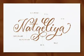 Amerliosa - Elegant Font