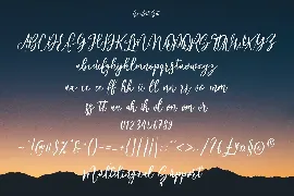 Sunfort Signature Script Font