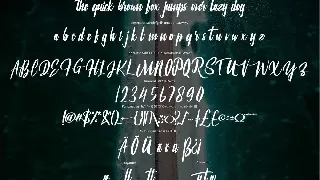 Dayana | Modern Font Script