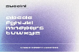 Zuccini - Unique Modern Typeface font