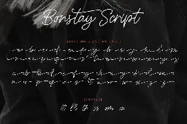 Bonstay - A Monoline Script Font