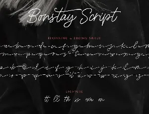 Bonstay - A Monoline Script Font