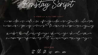 Bonstay - A Monoline Script Font