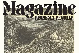 Pronema - Modern Serif font