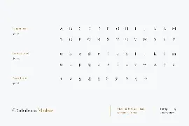 Gunterhaus - Modern & Transitional Serif font