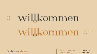 Gunterhaus - Modern & Transitional Serif font