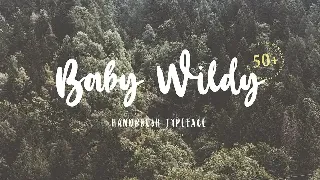 Baby Wildy font