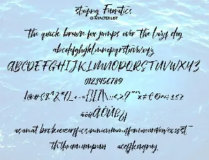 Stay Funatics | Brush Handwriting Script Font