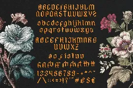 Hyacinth - Modern Font