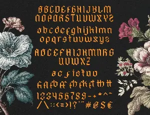 Hyacinth - Modern Font