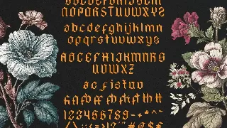 Hyacinth - Modern Font