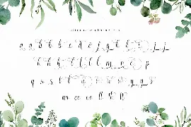 Enchanting Script Font