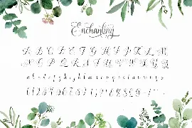 Enchanting Script Font