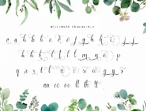 Enchanting Script Font