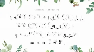 Enchanting Script Font