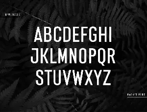 Gasket - Modern Corporate Condensed Sans Serif font